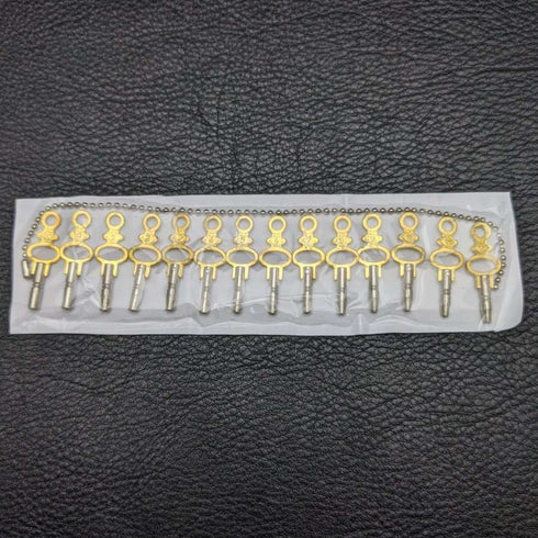 14 把鑰匙套裝,適用於懷錶鑰匙上鍊,尺寸 00-12