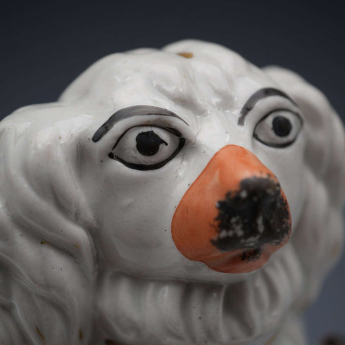 Late 19th Century English Antique Staffordshire Dogs, Parent and Child on Base, 20cm High