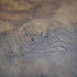 British Vintage Burr Wood Box