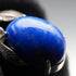 Vintage Silver and Lapis Lazuli Botanical Design Clip-On Earrings