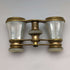 French antique mother-of-pearl decorated opera glasses binoculars with case Verne