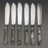 Around 1930 British vintage white butterfly shell handle fish cutlery 12 pair set boxed