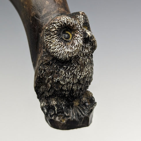 1900年左右 英國古董 紳士用手杖 貓頭鷹裝飾 彎曲角手柄 90cm