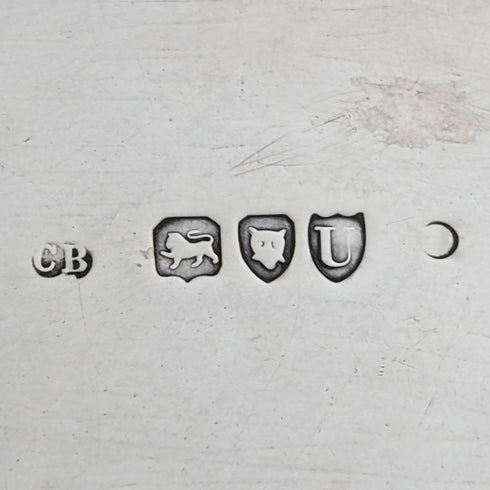 1895 年英國古董純銀薩爾瓦直徑 22 厘米 363 克 CHARLES BOYTON