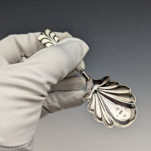 1845 British Antique Sterling Silver Tea Caddy Spoon FRANCIS CLARK