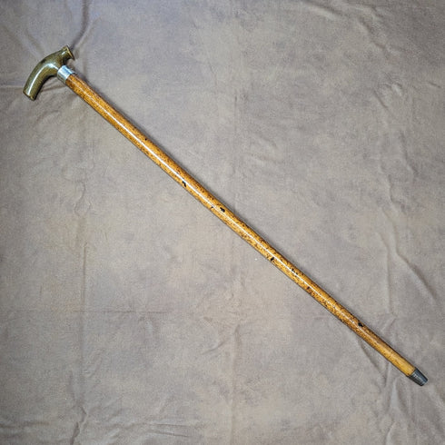 1895 年英國古董男士手杖輕便馬六甲藤製牛角手拿包手柄 81 厘米