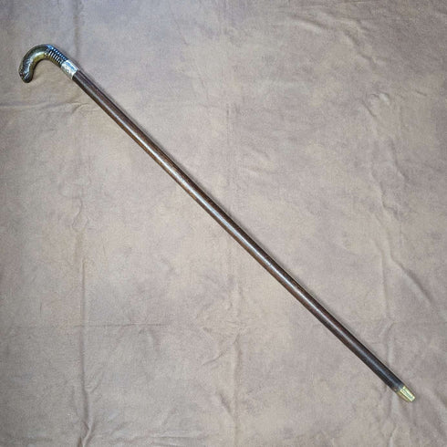 1893 British Antique Men's Cane Horn Griffin Handle 85cm