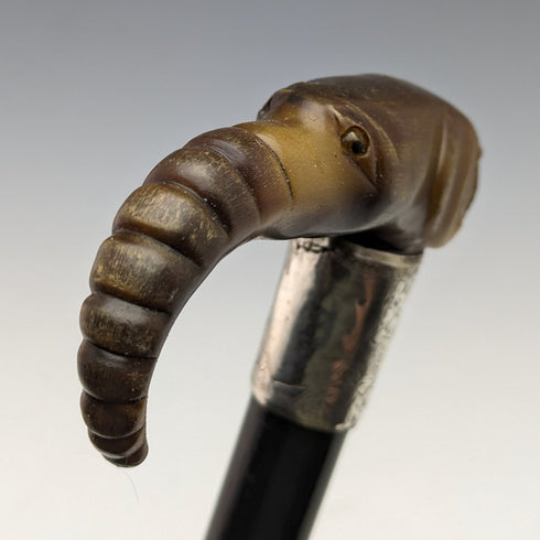 1896 年英國古董男士手杖角大象手柄 86 厘米