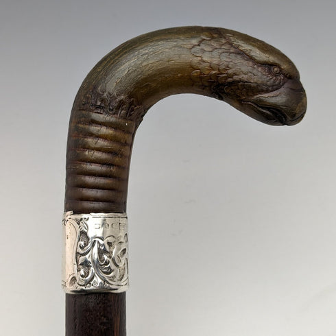 1893 年英國古董男士手杖角獅鷲手柄 85 厘米