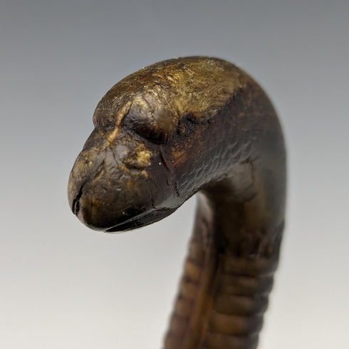 1893 年英國古董男士手杖角獅鷲手柄 85 厘米