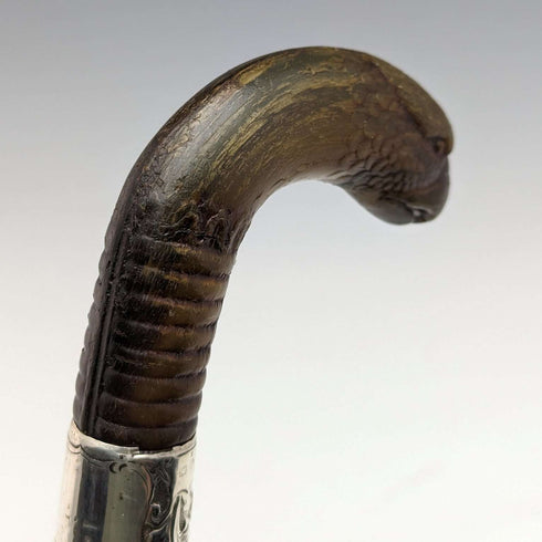 1893 British Antique Men's Cane Horn Griffin Handle 85cm