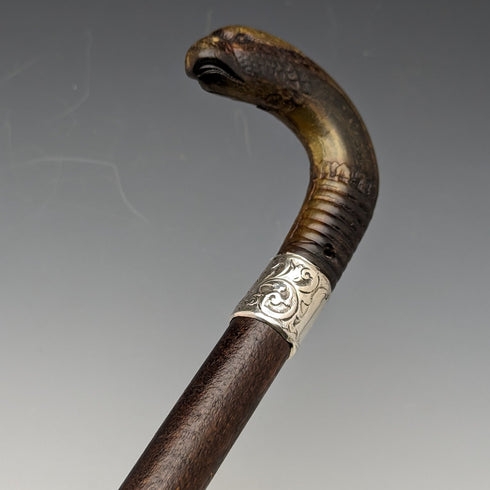 1893 年英國古董男士手杖角獅鷲手柄 85 厘米