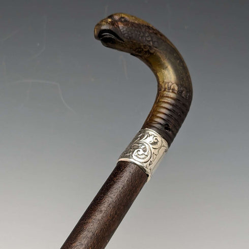 1893 British Antique Men's Cane Horn Griffin Handle 85cm