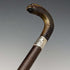 1893 British Antique Men's Cane Horn Griffin Handle 85cm