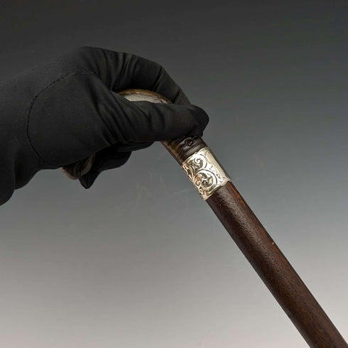 1893 British Antique Men's Cane Horn Griffin Handle 85cm