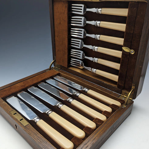 英国ヴィンテージ 樹脂ハンドル フィッシュカトラリー6ペアセット 木箱入り Cooper Brothers