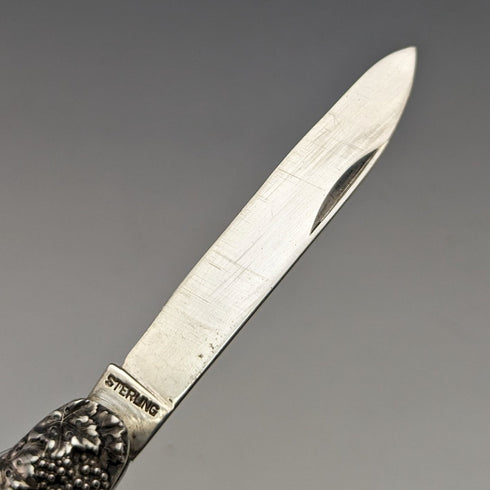 20 世紀初美國古董純銀水果刀與鎬浮雕雕刻