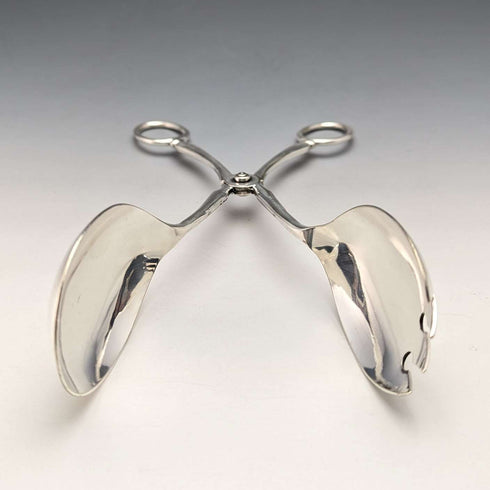 British antique silver plated salad tongs