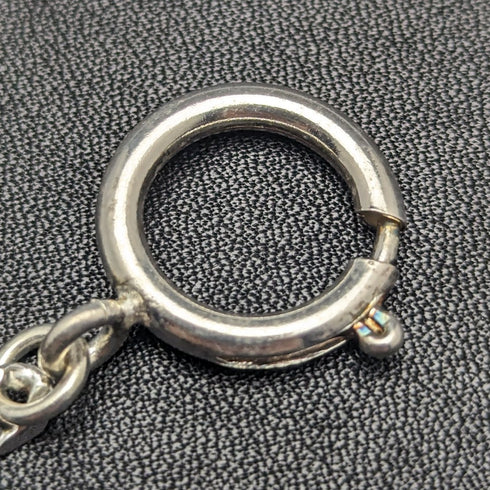 シルバープレート 引き輪式 アルバートチェーン ファンリーリンク