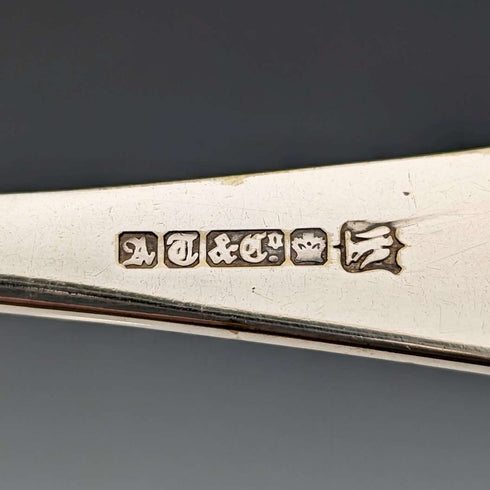 19 世紀晚期英國古董鍍銀漿果湯匙一對 William Ainsworth 盒