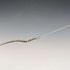 Antique 800 Silver Pastry Server with Rose Sculpture