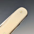 British Vintage Resin Handle Pen Knife Steel Blade x2 Cox&Sons