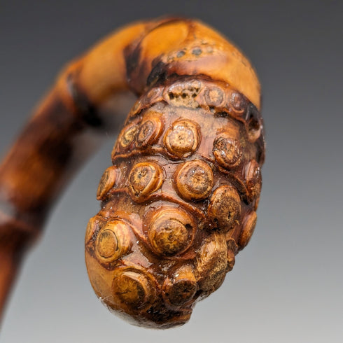 1926 British Vintage Men's Cane, Curved Handle, Sterling Silver Decoration, Bamboo Shaft, 82cm