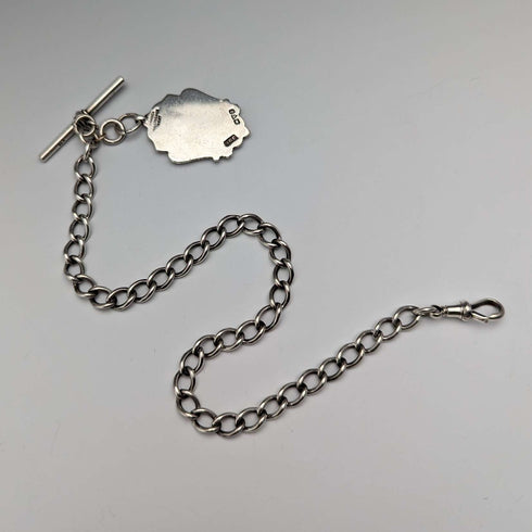 1884年頃 英国アンティーク 純銀製アルバートチェーン 37g エンブレムフォブ