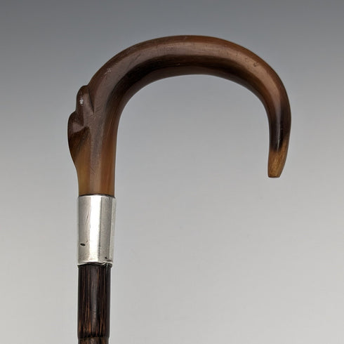 1911 British Antique Ladies Cane Horn Handle Sterling Silver Decoration 92cm