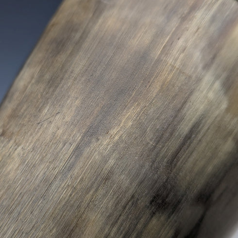 1900年頃 英国アンティーク ホーン製 ビーカーカップ ペア