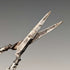 Antique early 19th century sterling silver chatelaine sewing scissors with case