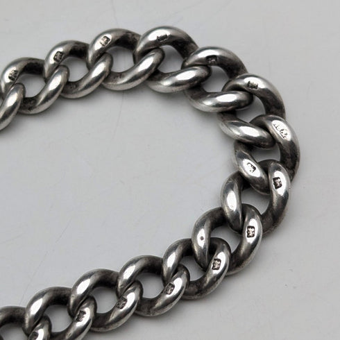 1900年頃 英国アンティーク 純銀製アルバートチェーン 42g エナメル装飾純銀メダルフォブ