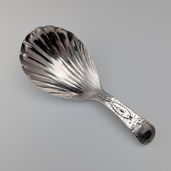 1800 British antique Georgian sterling silver tea caddy spoon
