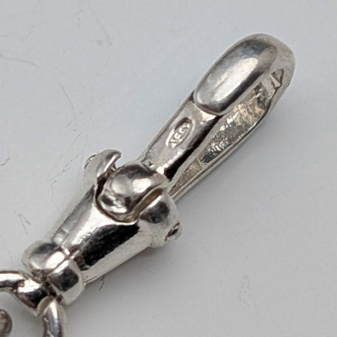 1900年頃 英国アンティーク 純銀製アルバートチェーン 41g 純銀ライオンパサントフォブ