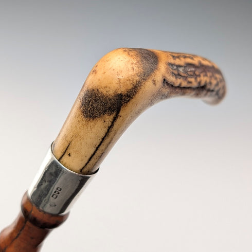 1901 年英國古董竹軸 L 形鹿角手柄純銀裝飾手杖 手杖 81 厘米