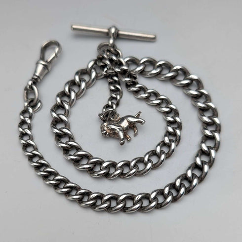Circa 1900 British antique sterling silver Albert chain, 42g, sterling silver lion passant fob