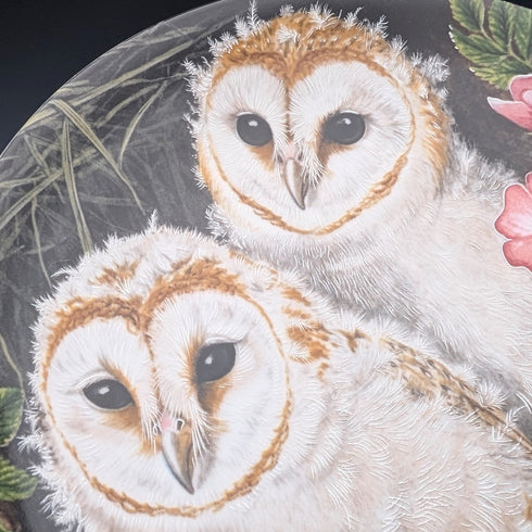 英国ヴィンテージ ウェッジウッド ベビーオウルシリーズ アートプレート4枚セット