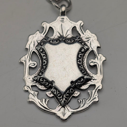 1900年頃 英国アンティーク 純銀製アルバートチェーン 53g 純銀大型メダルフォブ