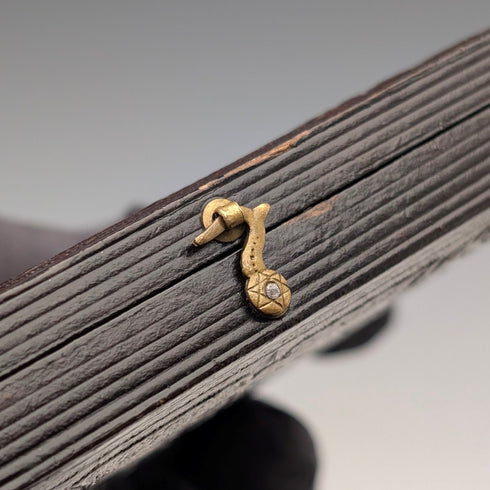 英国アンティーク レザー張りケース入り アンブロタイプ