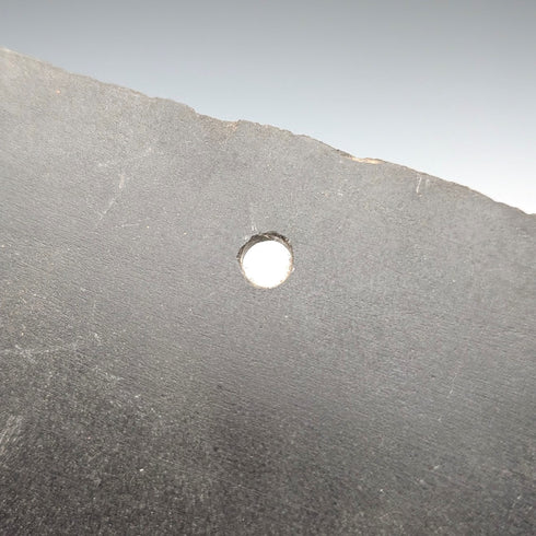 英国ヴィンテージ 石板手書き キジ 壁掛けアート カントリーアート