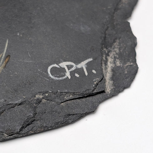 英国ヴィンテージ 石板手書き キジ 壁掛けアート カントリーアート