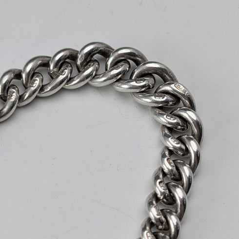 1900 Antique British Sterling Silver Albert Chain, 36g, with Sterling Silver Horseshoe FOB.