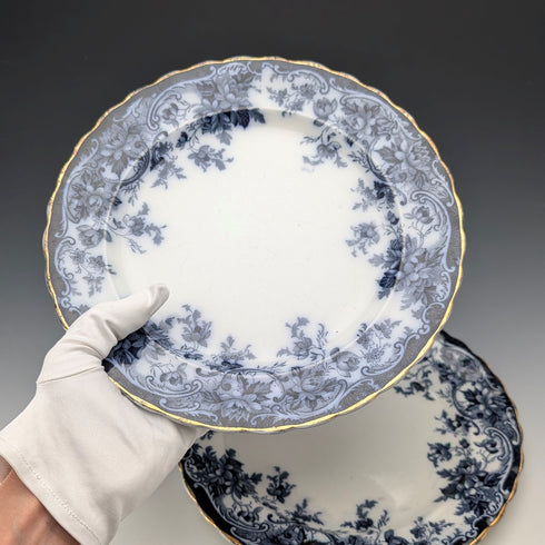 Pair of antique British Burlington pattern semi-porcelain lunch plates by Wedgwood & Co.