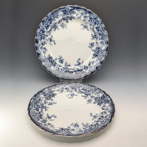 Pair of antique British Burlington pattern semi-porcelain dinner plates by Wedgwood & Co.
