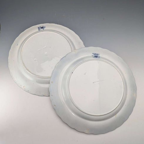 英国アンティーク バーリントンパターン 半磁器製 ディナープレートペア Wedgwood&Co.