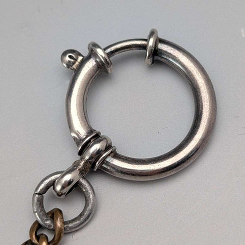 Antique Two-Tone Fancy Link Albert Chain with Clasp