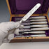 一組六件英國古董餐具,配有珍珠母貝手柄和純銀飾件,托馬斯·特納 (Thomas Turner) 設計,帶盒。