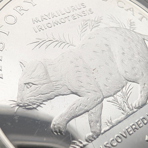 英国マン島 クラウン銀貨 「猫の歴史:イリオモテヤマネコ」PobjoyMint ケース・説明書付