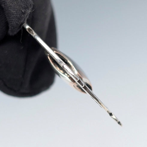 1905年頃 英国ヴィンテージ 純銀製アルバートチェーン 54g 純銀メダルフォブ