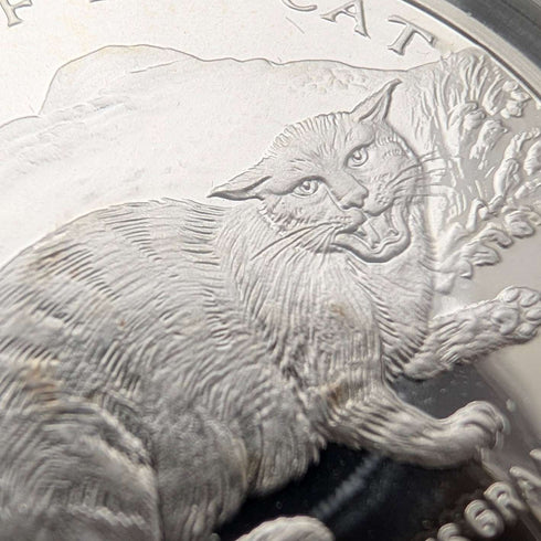 英國曼島銀質克朗硬幣“貓的歷史:歐洲野貓”,由PobjoyMint發行,附帶包裝盒和說明書